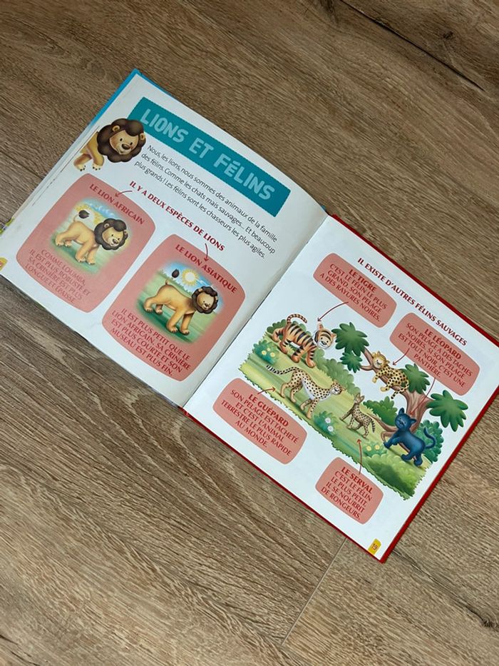 Livre loumba le lion - photo numéro 3