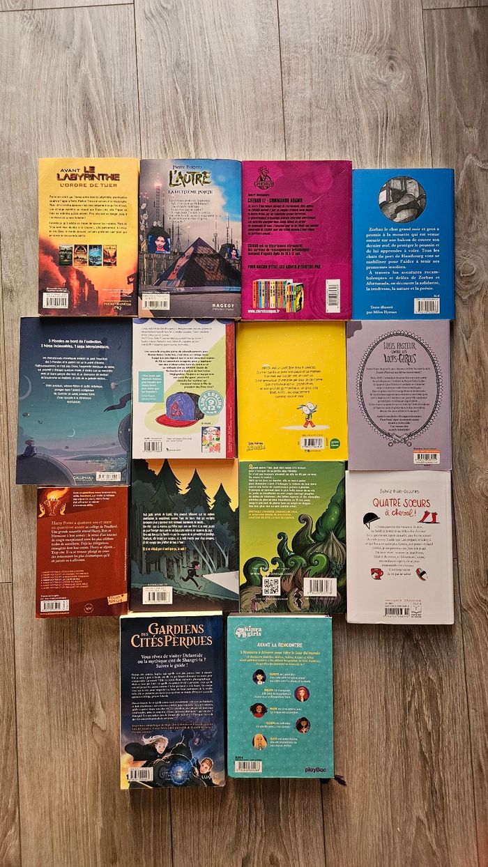 2- livres pour adolescents au choix - photo numéro 2