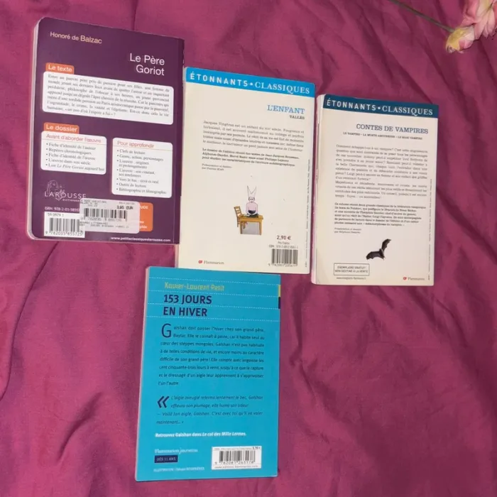 Lot livre - photo numéro 2