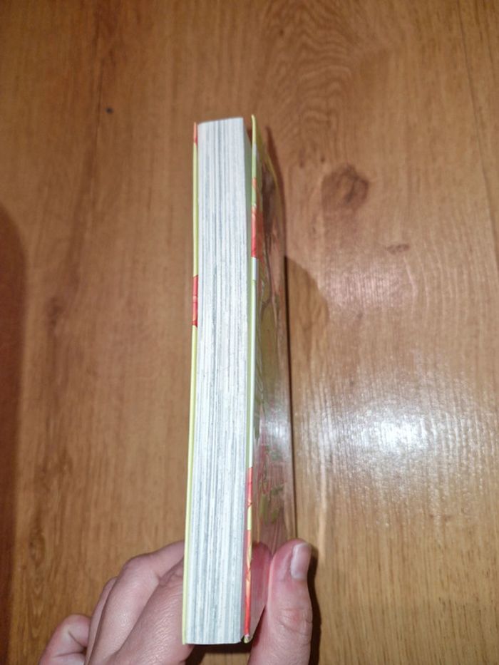 Les carnets de l'apothicaire tome 1 - photo numéro 4