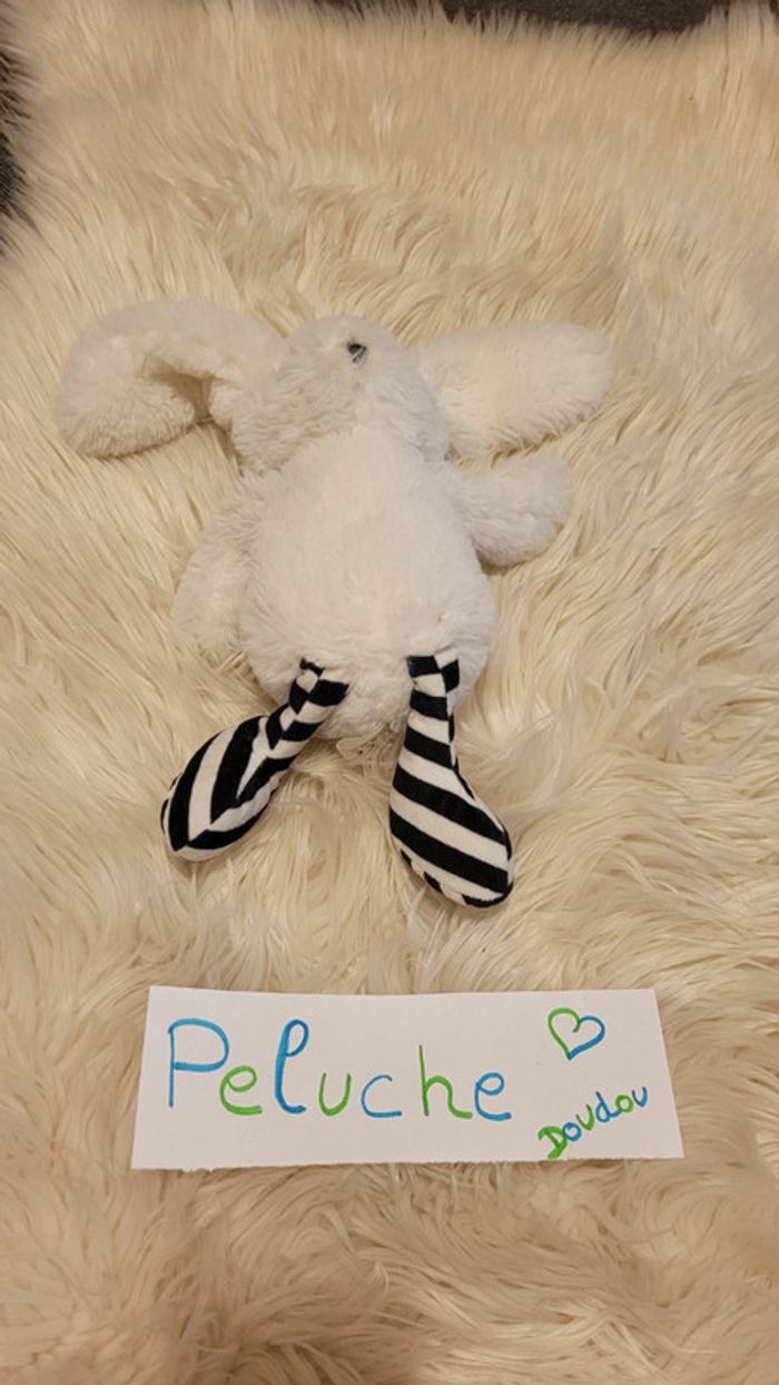 Lapin 1 - photo numéro 2