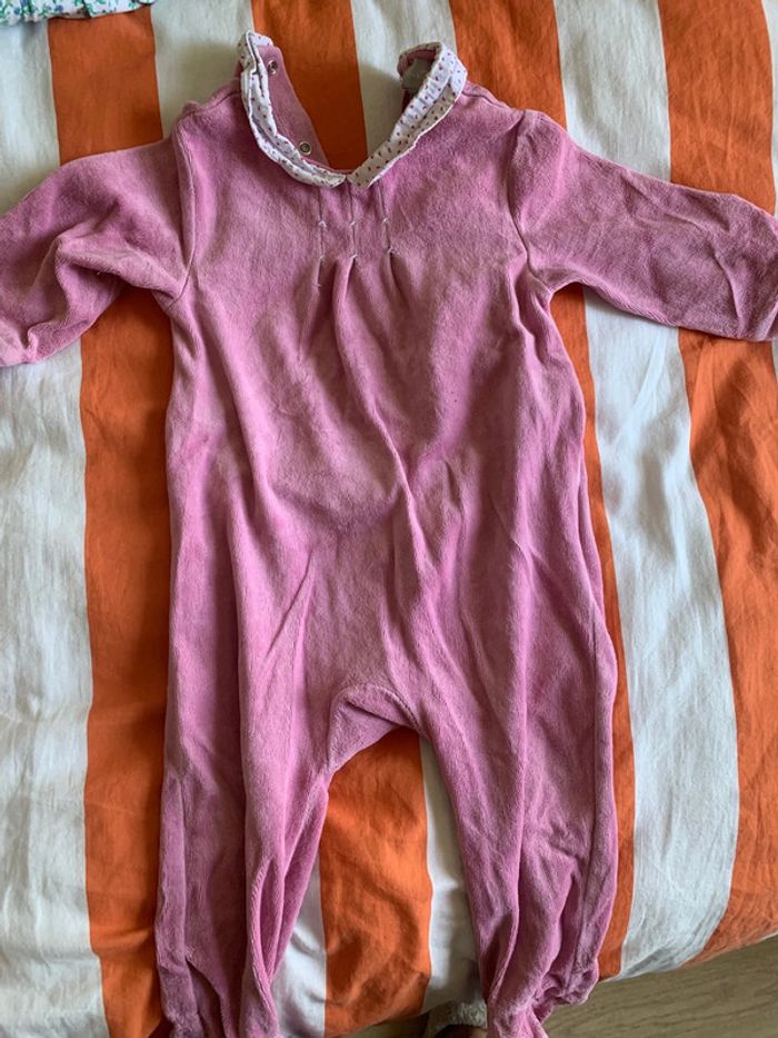 Pyjama rose
