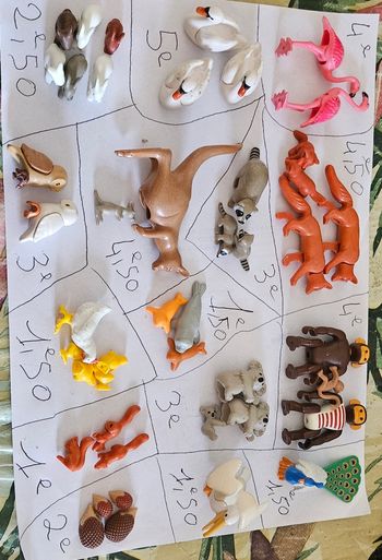 Animaux playmobil divers