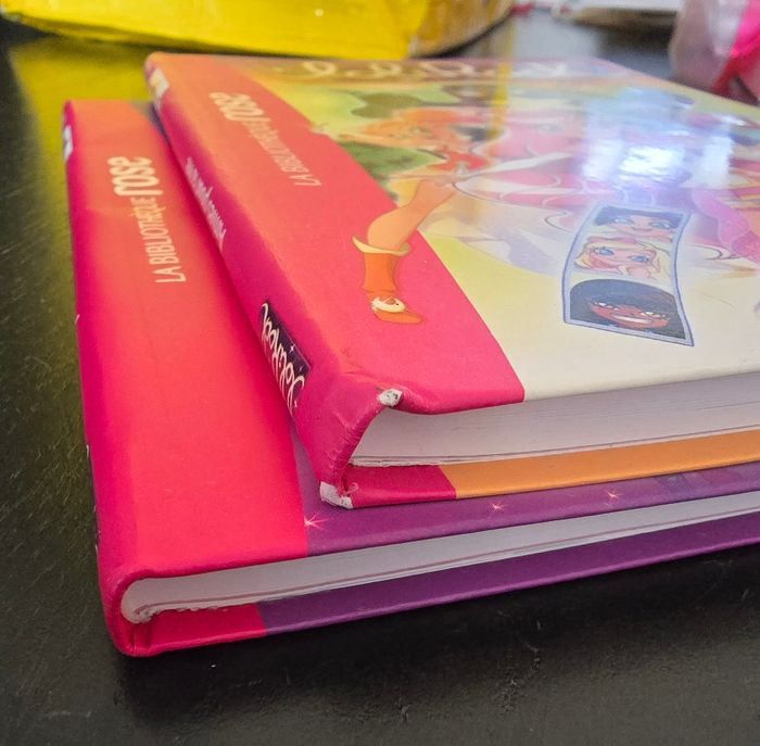 2 livres lolirock - photo numéro 5