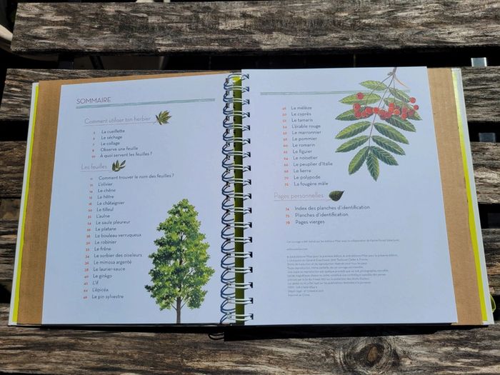 Très bel herbier Milan : L'Herbier des feuilles 🍃 72 - photo numéro 4