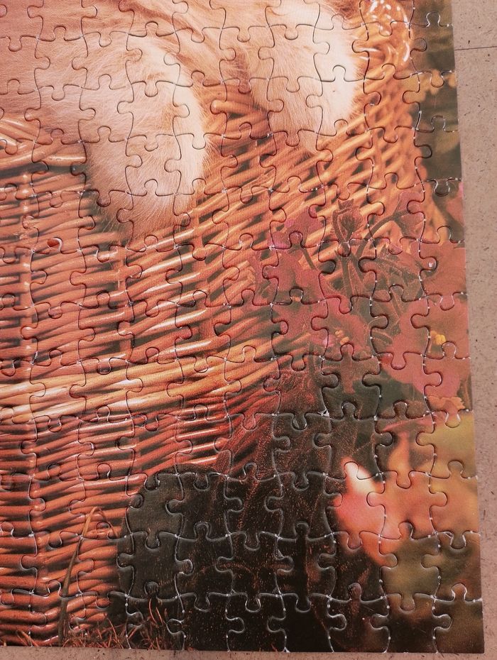 Puzzle chat et chien 500 pièces - photo numéro 8