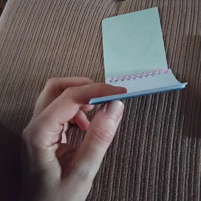Petits carnets - photo numéro 5