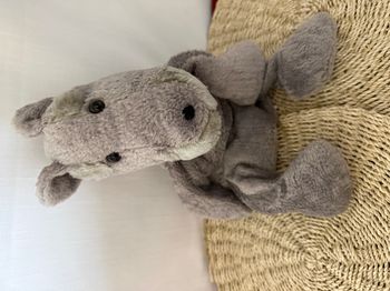 Rare Van Cleef doudou hippopotame 