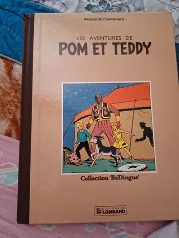 Les aventures de pom et teddy