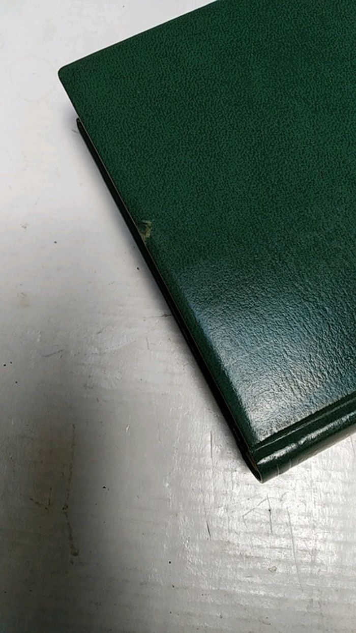 Chien perdu sans collier - photo numéro 2