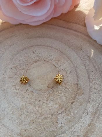 Boucles d'oreilles en acier inoxydable 