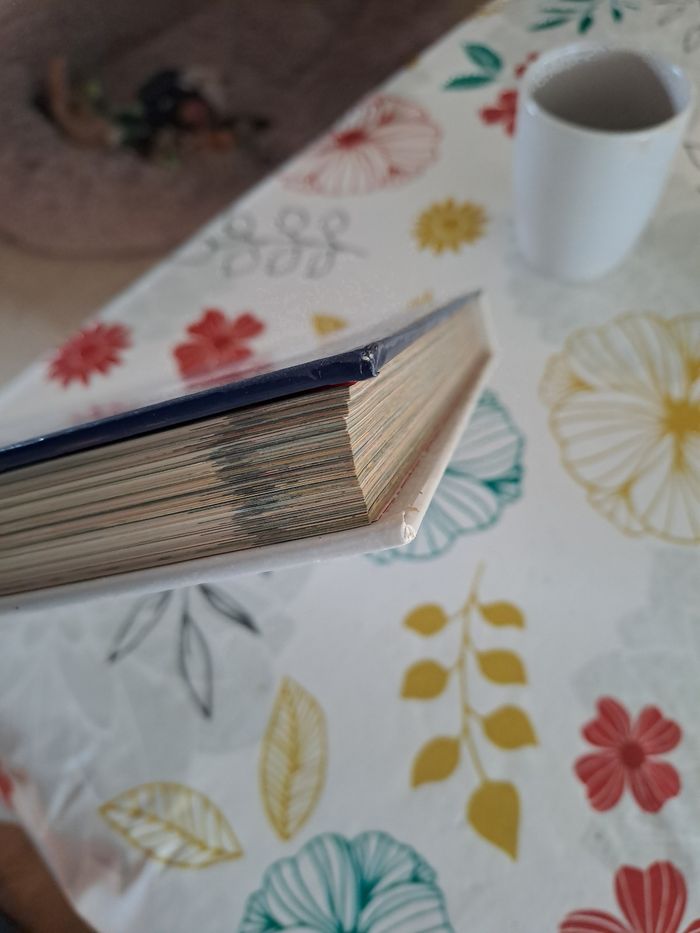 Spirou 256e album - photo numéro 5