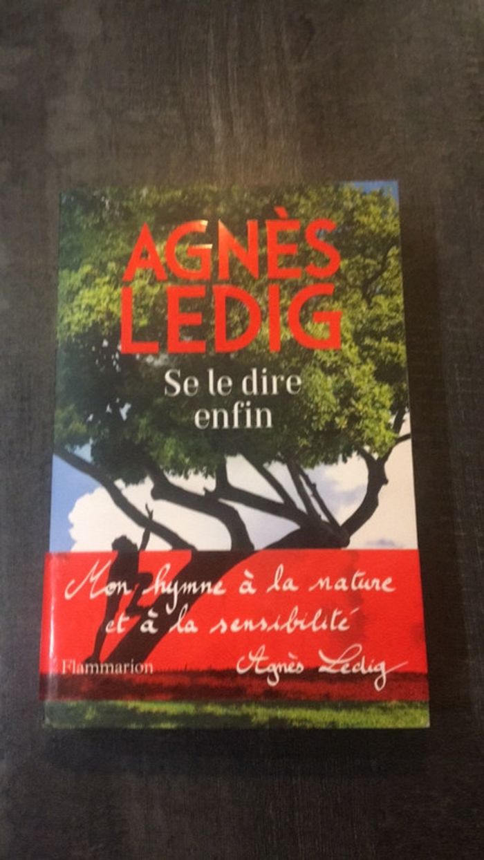 Livre Se le dire enfin Agnès Ledig