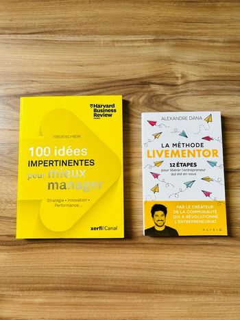 Lot de 2 livres Entreprenariat et Management 
