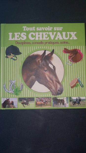 Tout savoir sur les chevaux