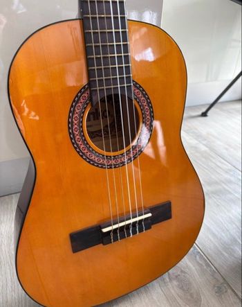 Guitare + housse 