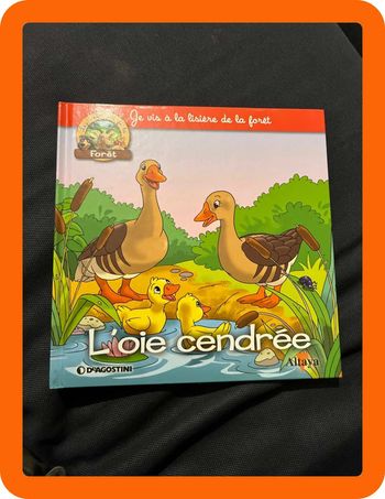 Livre l oie cendrée