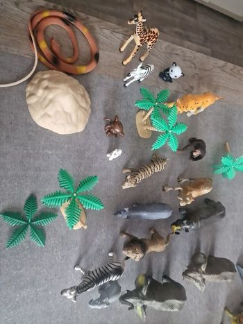 Animaux de la jungle