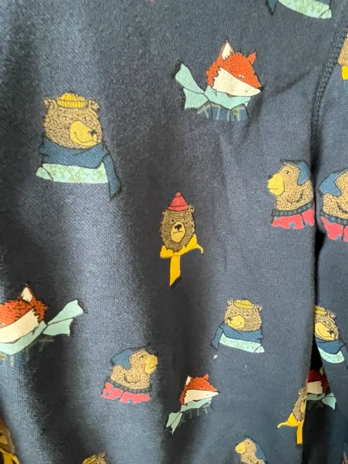 Sweat à capuche, ours - photo numéro 2