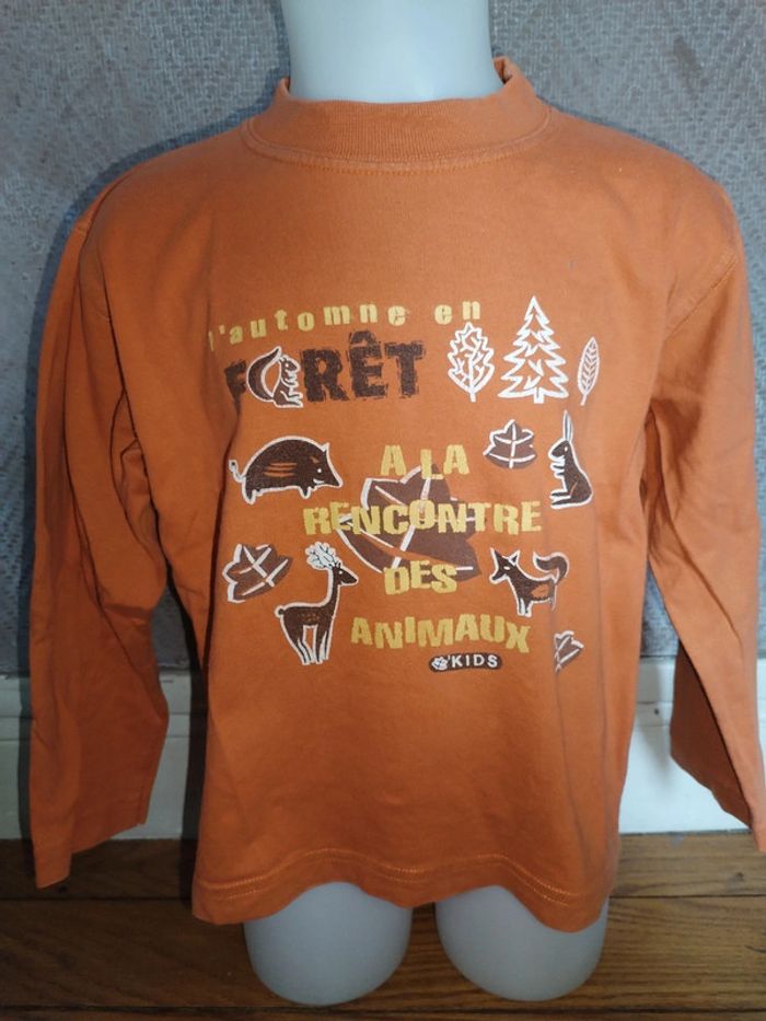 Lot de 8 tee shirt manches longues taille 6 ans - photo numéro 6