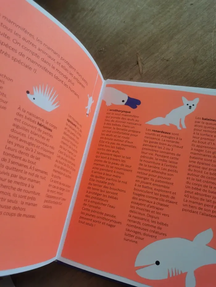 🌼 Ma maman et moi – Album documentaire jeunesse Actes Sud Junior 📖 - photo numéro 3