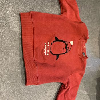 Pull 12 mois