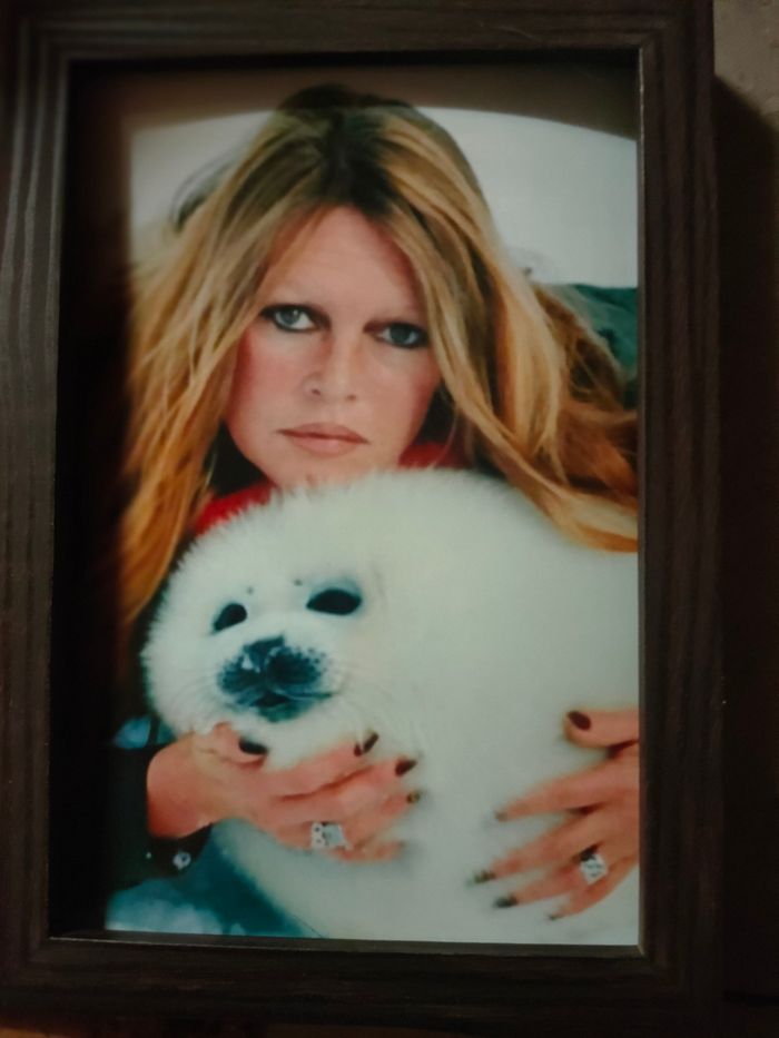 Cadre photo Brigitte bardot