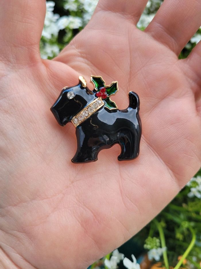 Chien scotty noir - photo numéro 3