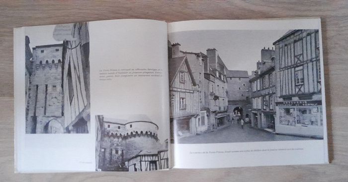 Vannes Morbihan (56) Michel de galzain - photo numéro 7