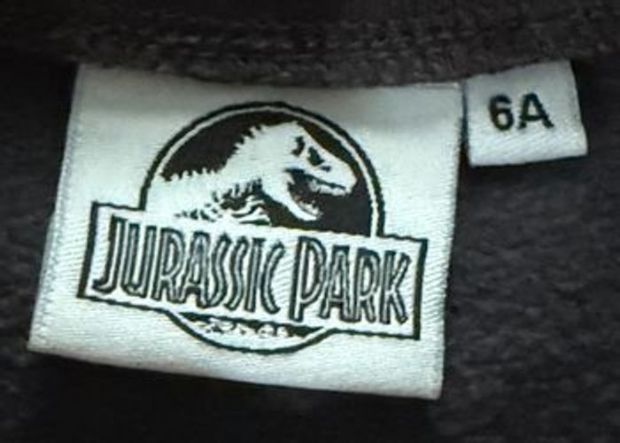 Pull « Jurassic Park » - photo numéro 2