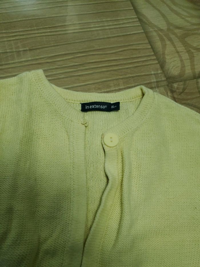 Lot 2 gilets 86 cm - photo numéro 3