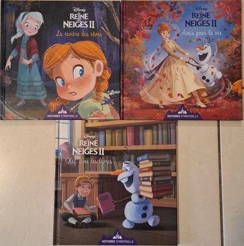 Lot livres Disney - Reine des neiges II