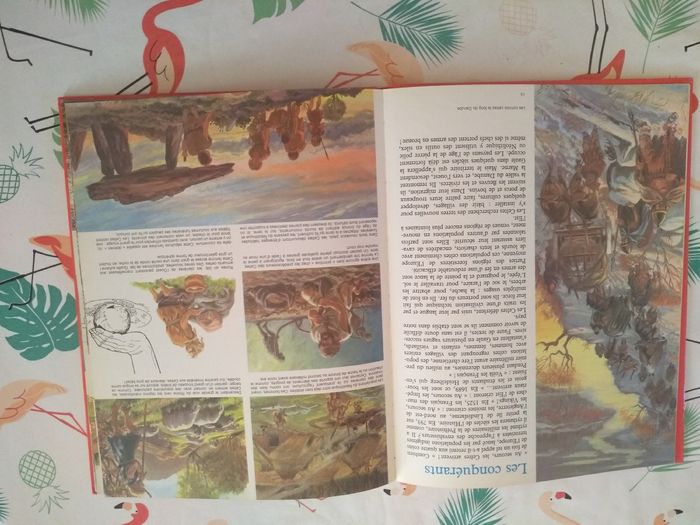 Livre Au Temps des Gaulois - photo numéro 4