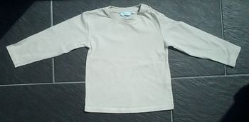 Tee shirt manches longues garçon 2 ans