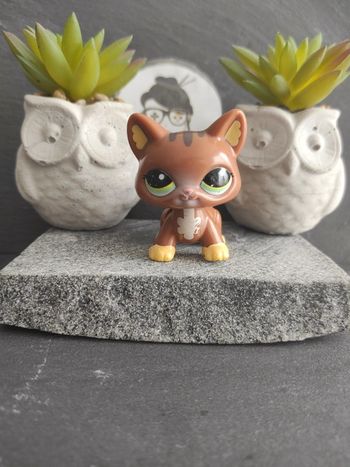 Littlest Petshop LPS Pet Shop chat main coon 2123 cat maincoon #geektradelpschat