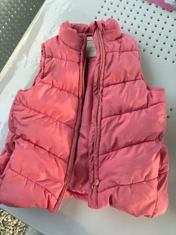 Veste