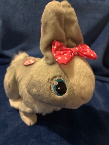 Lapin interactif
