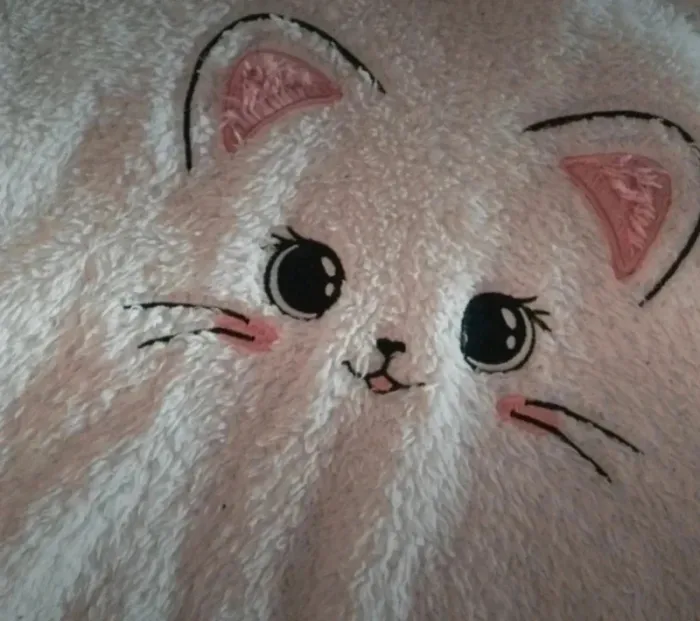 Jolie sweat à capuche pilou chat 5ans shein - photo numéro 2