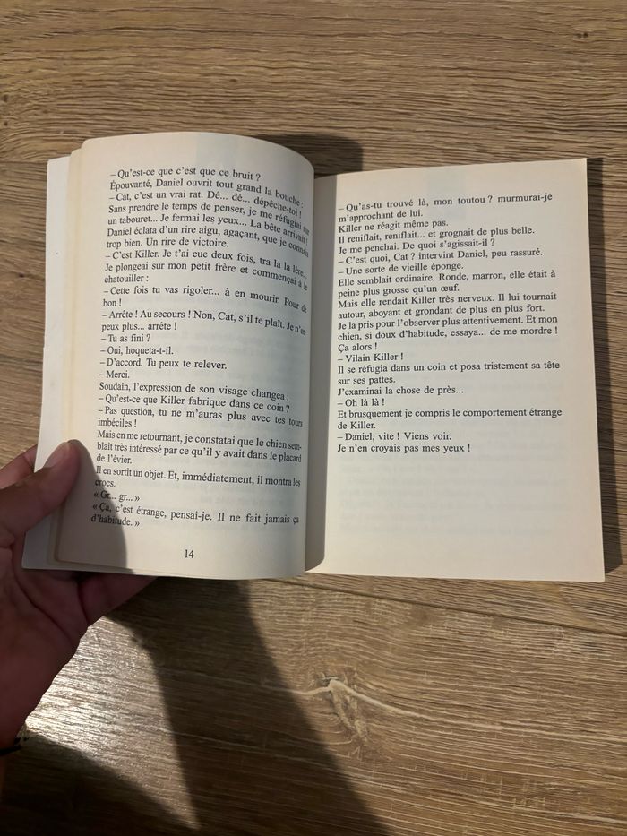 Livre Terreur sous l’évier Chair de Poule - photo numéro 3