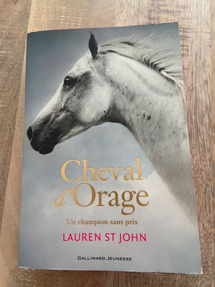 Cheval d’orage