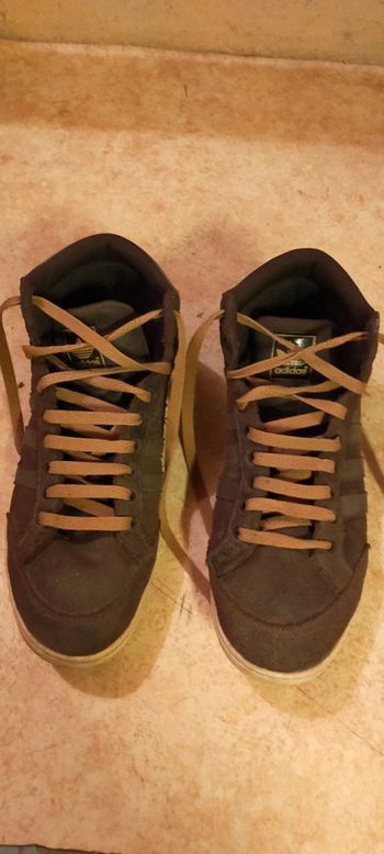 Basket montante Adidas