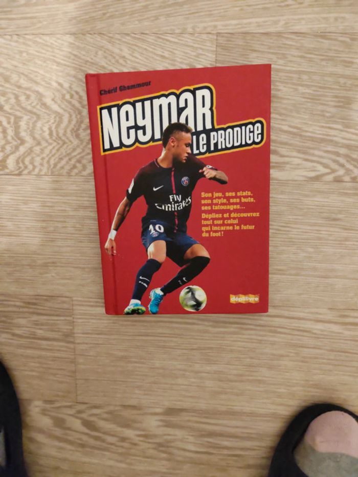 Livre Neymar tbe