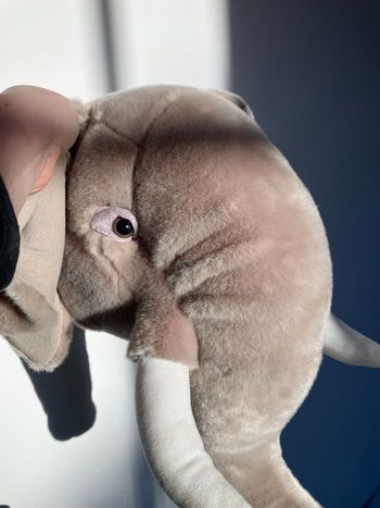 Deco chambre enfant Tête Éléphant