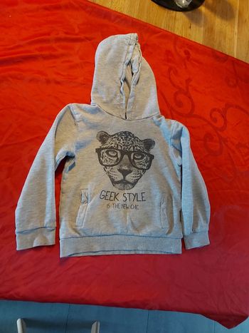 Pull à capuche gris