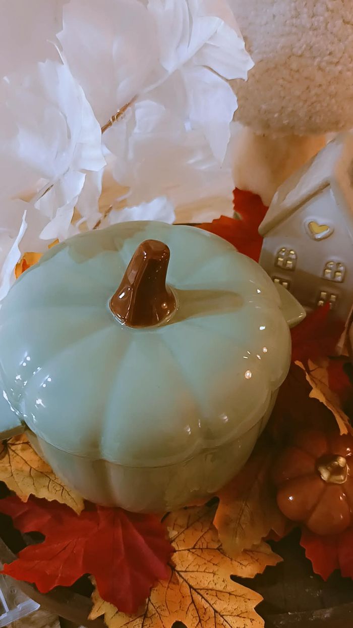 Sublime petite soupière citrouille Primark - photo numéro 4