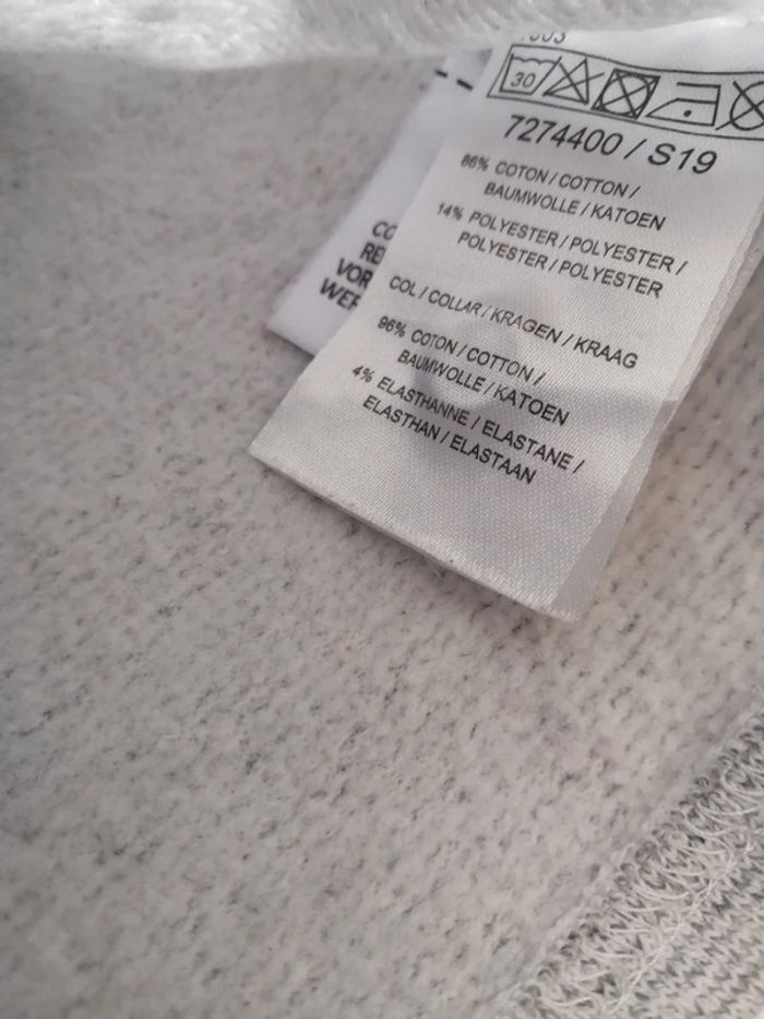 Sweat chien 6 mois - photo numéro 5