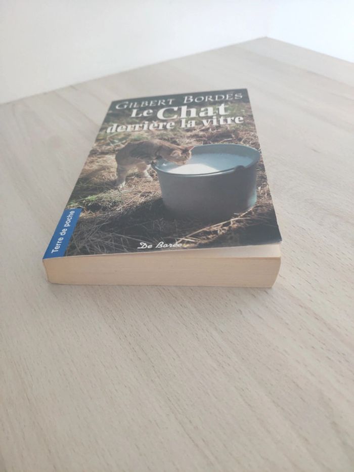 Livre poche le chat derrière la vitre Gilbert Bordes - photo numéro 2