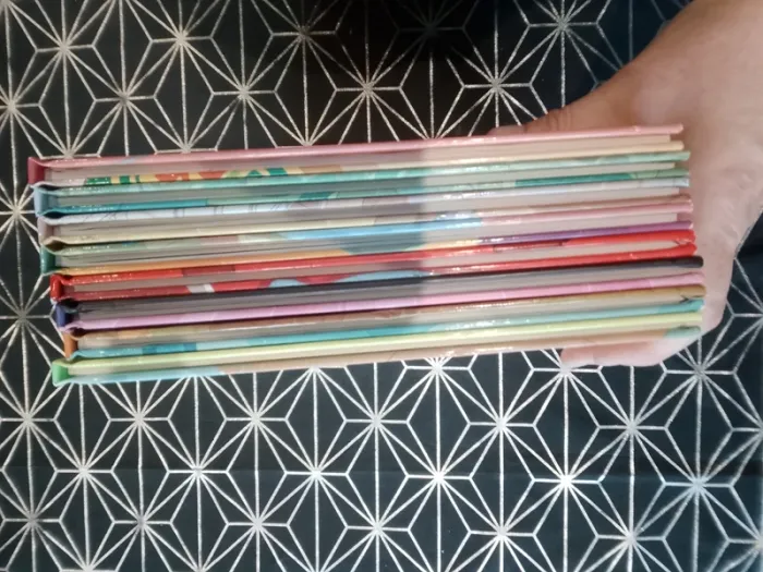 Livre enfant - Lot de 8 BD Lou - photo numéro 8