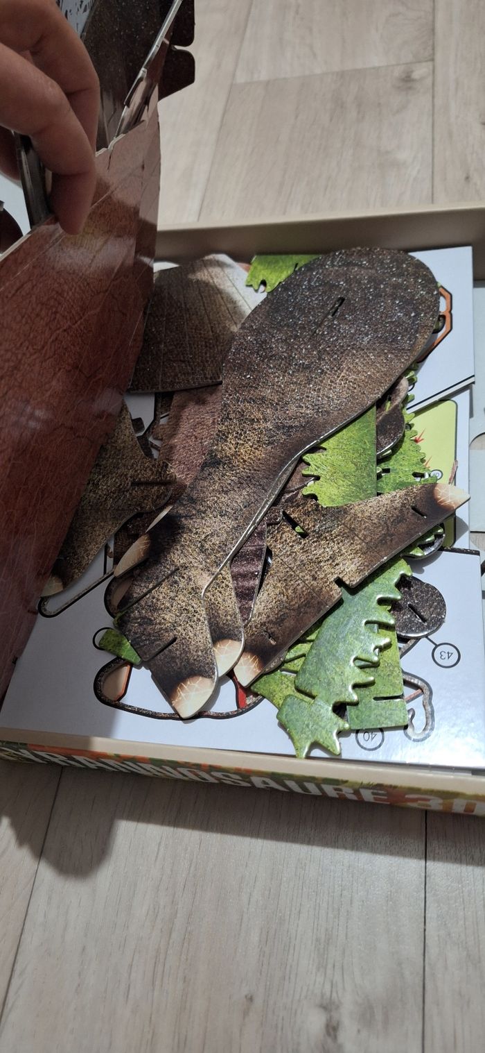 🦖 Maquette 3D + Livre – Tyrannosaure - photo numéro 3