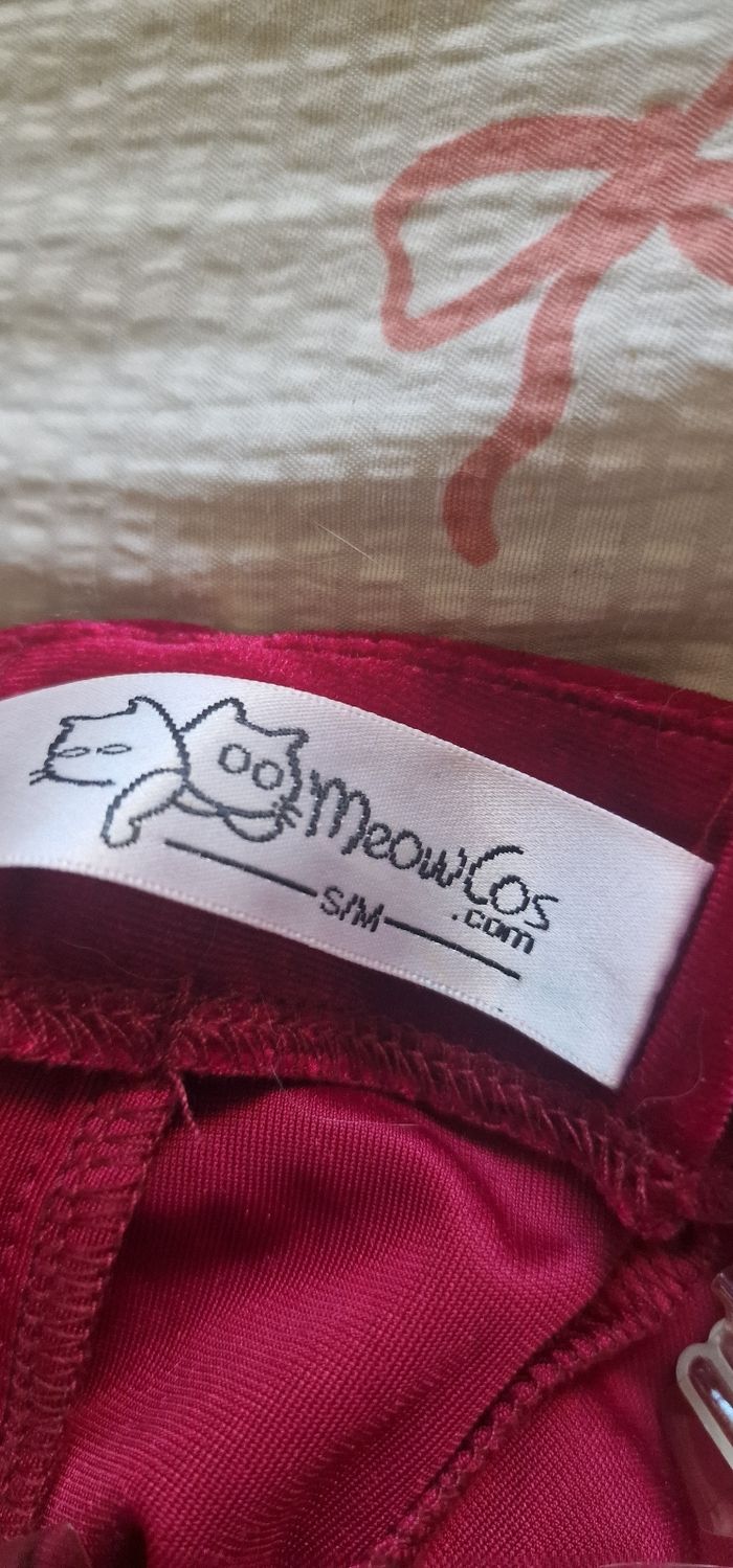 Cosplay Madame Bovary - photo numéro 5